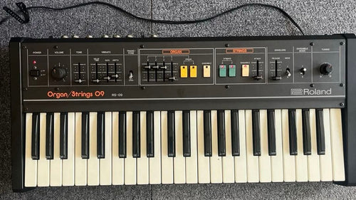 Roland Analog Synthesizer Rs-09
