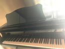 Grand Pianos C3 1985