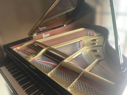 Grand Pianos C3 1985