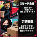Pok Mon Game Character