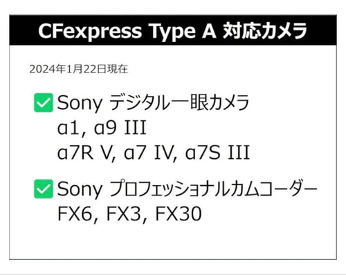 Sd Cards Cfexpress Type A Prograde 120Gb