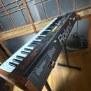 Roland Analog Synthesizers Ep-09