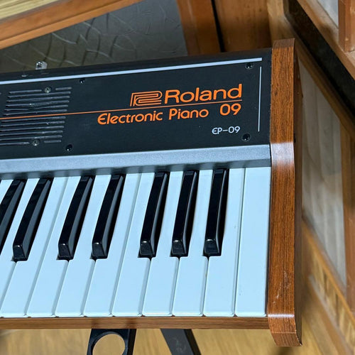 Roland Analog Synthesizers Ep-09