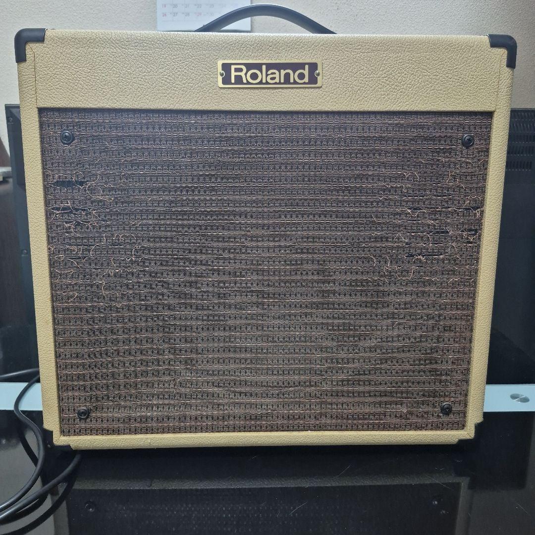 Roland Guitar Amplifier Bc-30Bluescube
