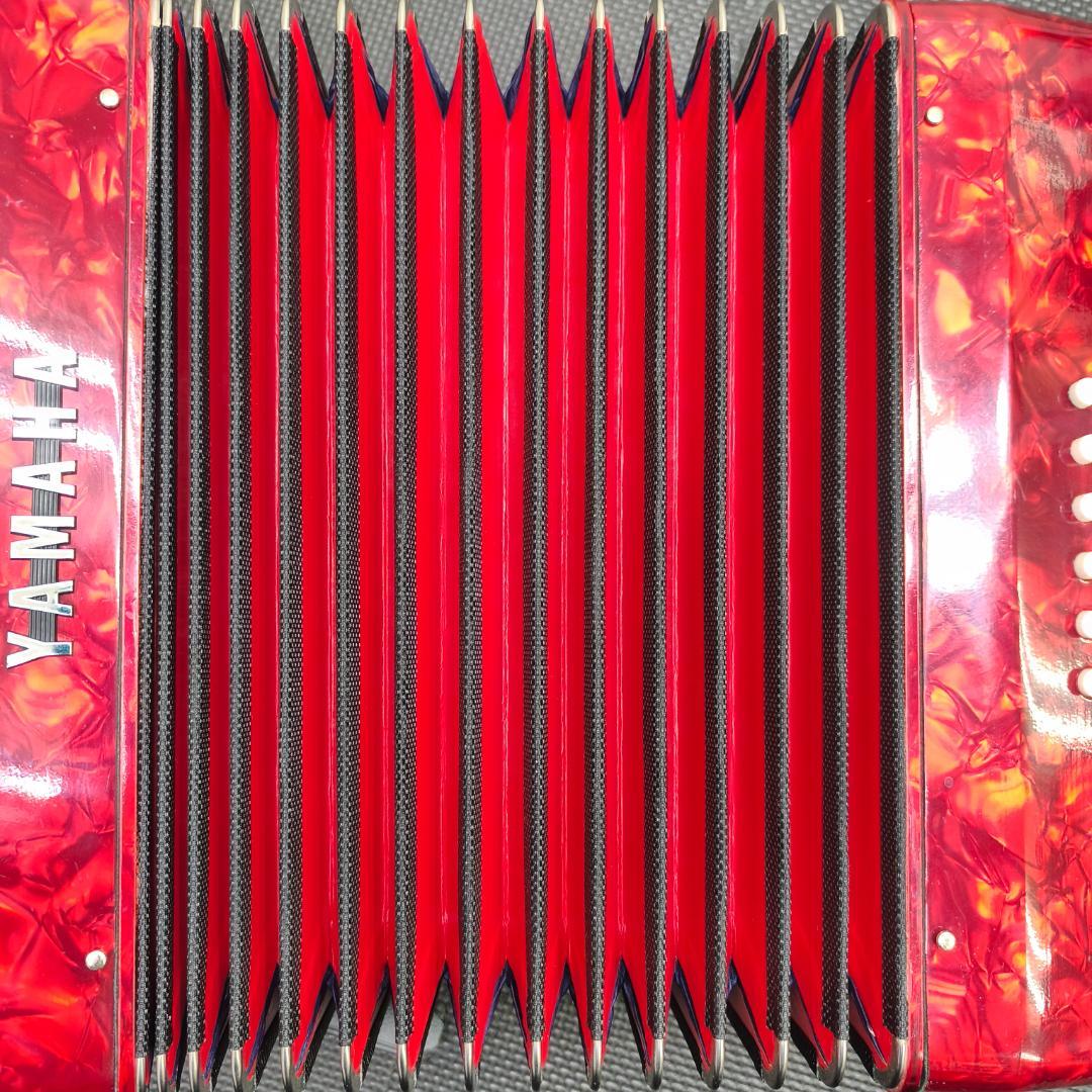 Yamaha Accordions 25 386007