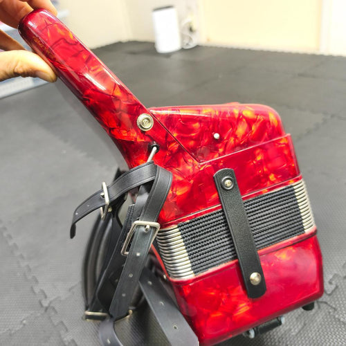 Yamaha Accordions 25 386007