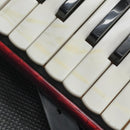 Yamaha Accordions 25 386007