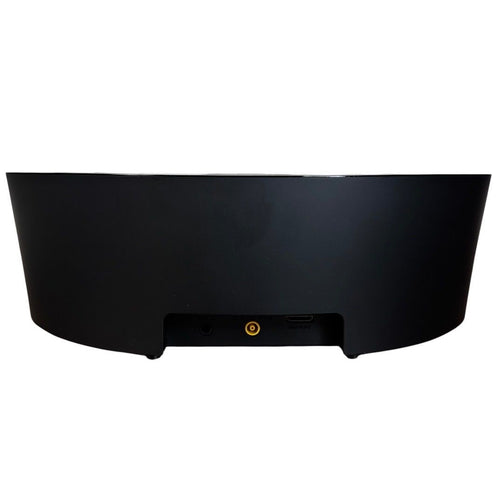 Sony Speaker Rdp-Nwd300