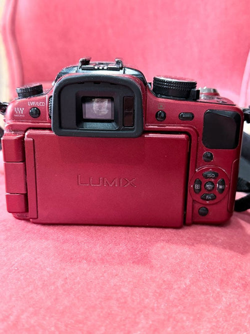 Mirrorless Interchangeable Lips Lumix G1