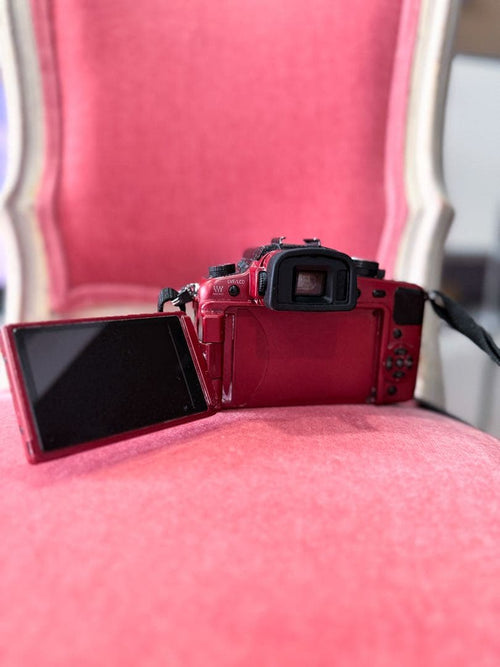 Mirrorless Interchangeable Lips Lumix G1
