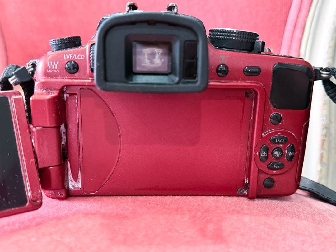 Mirrorless Interchangeable Lips Lumix G1