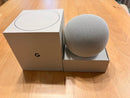 Google Smart Speakers Home Porcelain Gemini