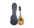 Suzuki Mandolin Body M-40