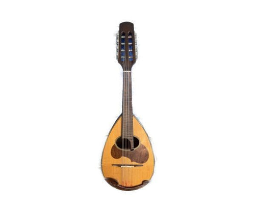 Suzuki Mandolin Body M-40