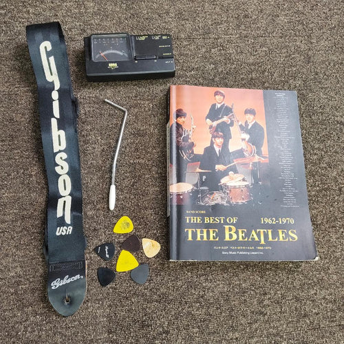 Electric Guitar Busker'S