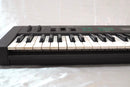 Others Yamaha Dx21