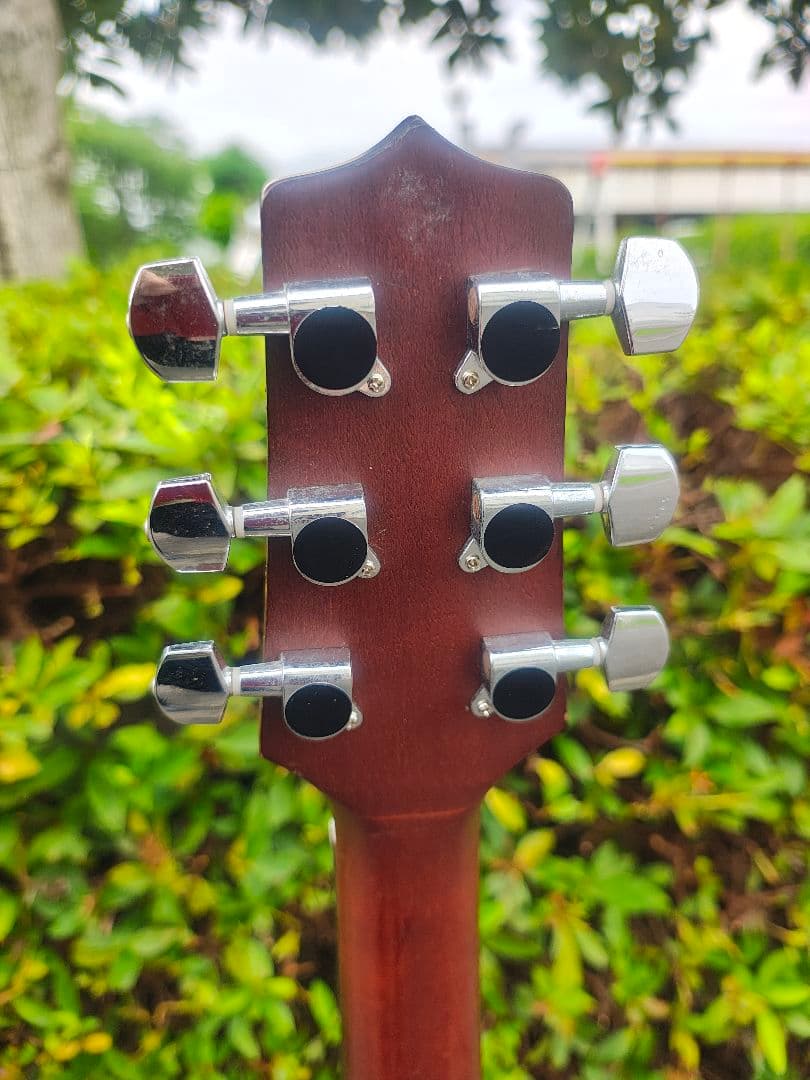 Yamaha Acoustic Guitars Takamine T-P2 Cpx Pa