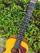 Yamaha Acoustic Guitars Takamine T-P2 Cpx Pa