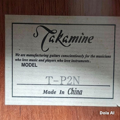 Yamaha Acoustic Guitars Takamine T-P2 Cpx Pa