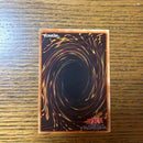 Yu -Gi -Oh! Ocg Duel Monsters Tlm-Jp005