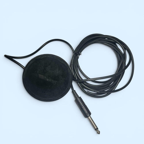 Roland Guitar Effects Units Fs-1 Foot Switch