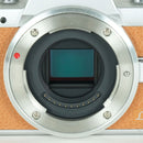 Panasonic Mirrorless Interchangeable Lips 1,505 Lumix Dmc-Gf7