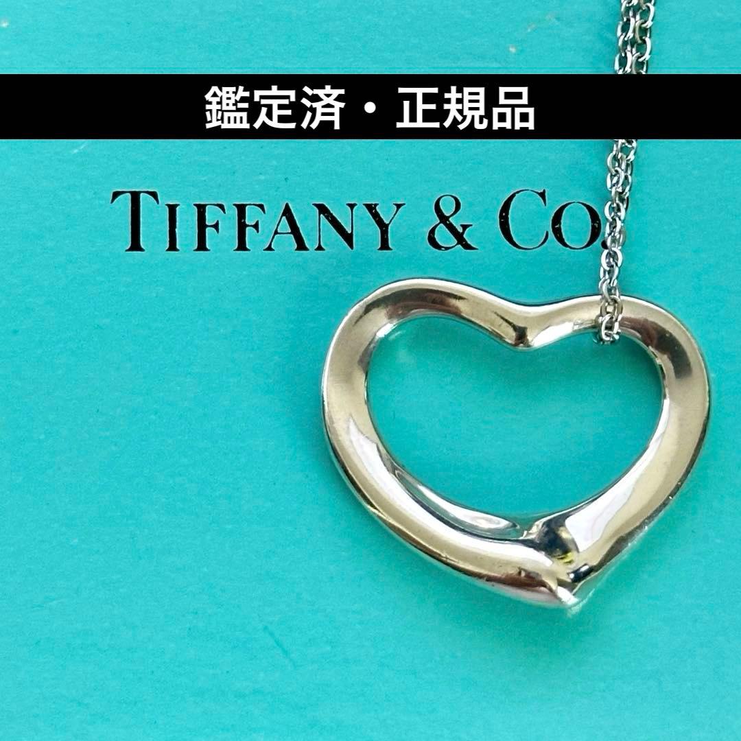 Tiffany Necklaces 04 925