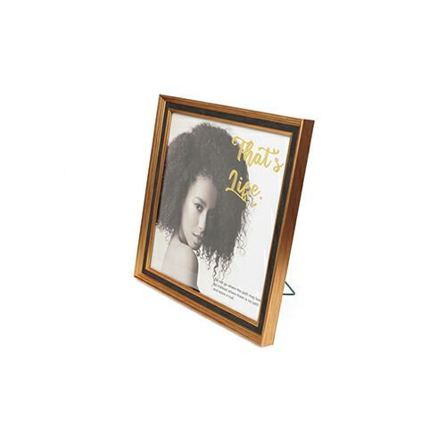 Photo Frame 8/13-17 Lp Ps-Lp-Gd Kenko