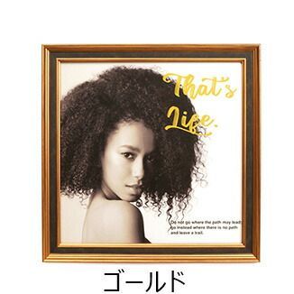 Photo Frame 8/13-17 Lp Ps-Lp-Gd Kenko