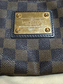 Louis Vuitton Shoulder Bags N55213 2Way