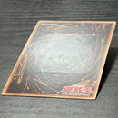 Yu -Gi -Oh! Ocg Duel Monsters 1St