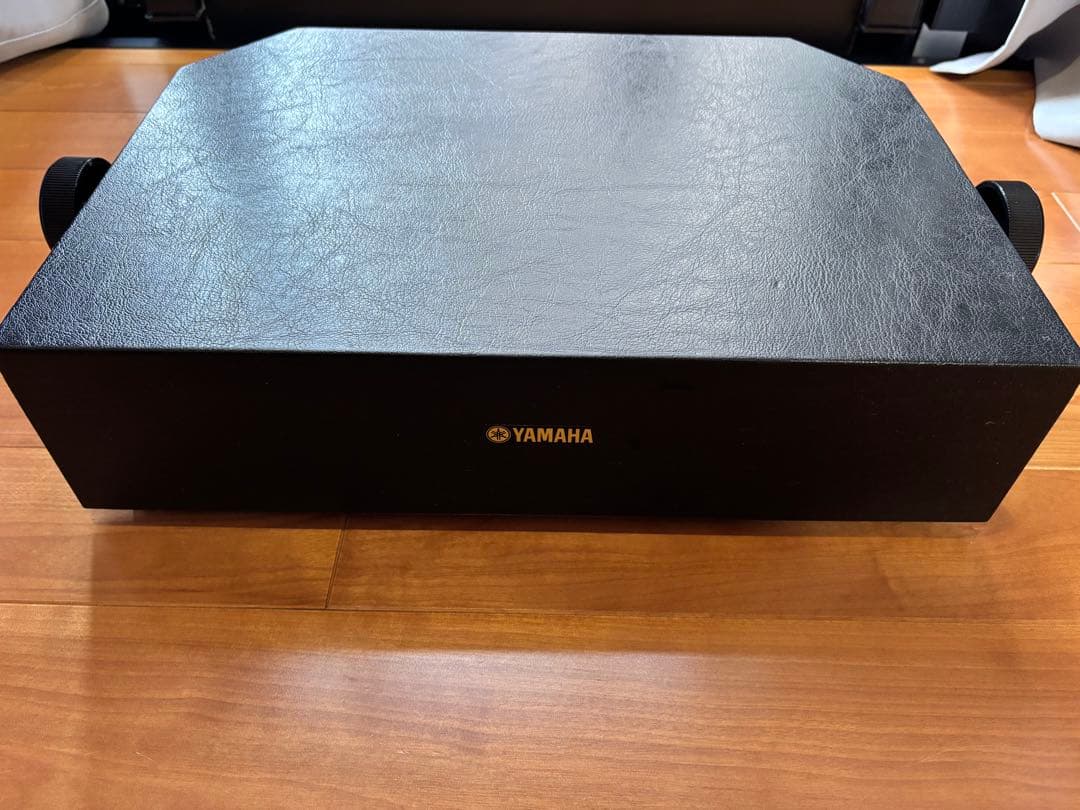 Yamaha Other Hp-100