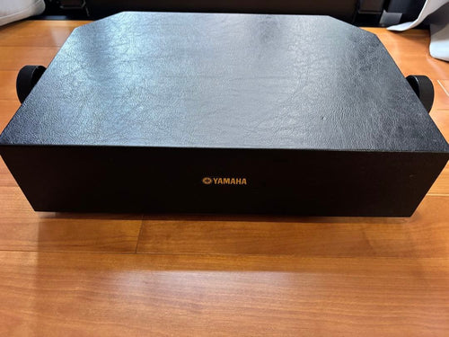 Yamaha Other Hp-100