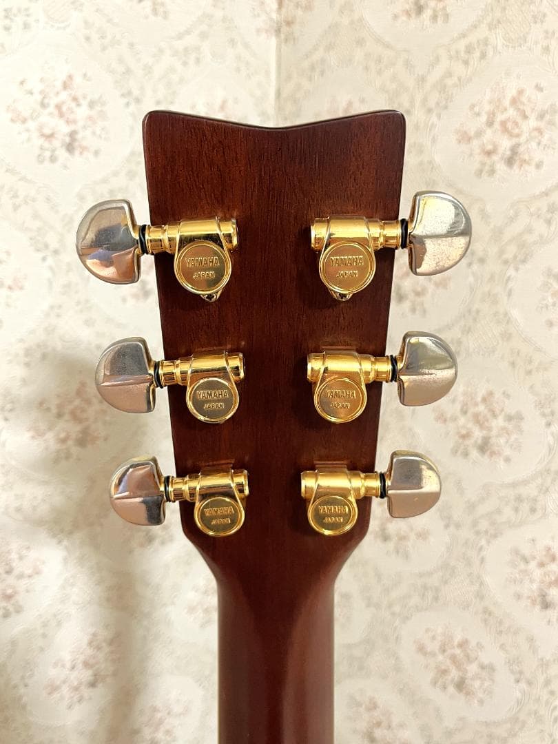 Yamaha Acoustic Guitars Fg-300D