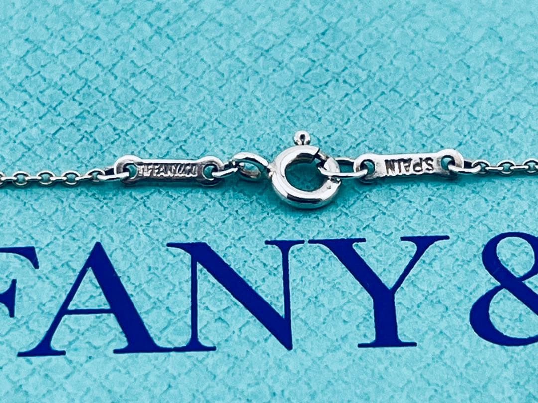 Tiffany Necklace D049 925