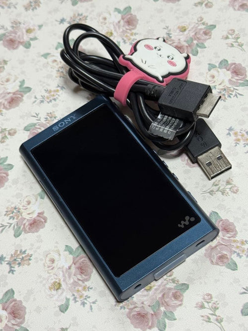 Digital Audio Players Sony Walkman Nw-A50Series