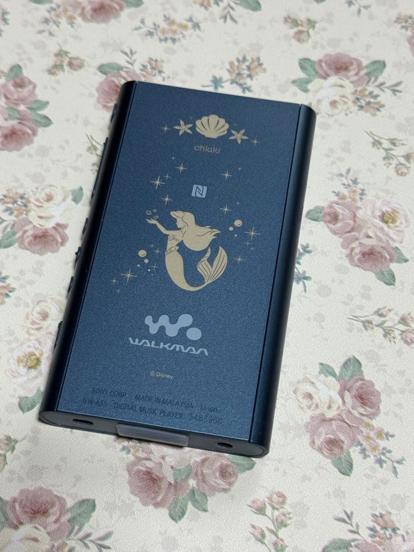 Digital Audio Players Sony Walkman Nw-A50Series