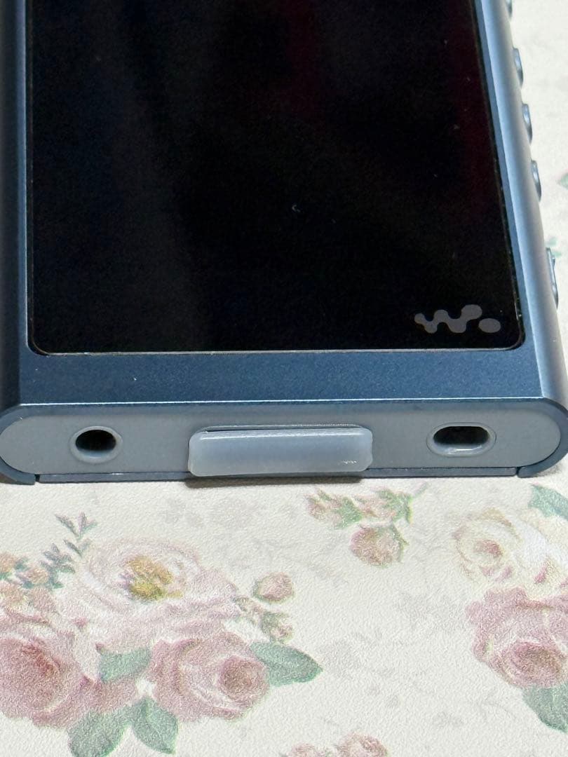 Digital Audio Players Sony Walkman Nw-A50Series