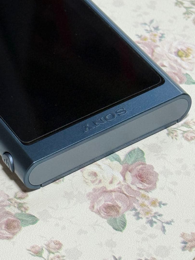 Digital Audio Players Sony Walkman Nw-A50Series