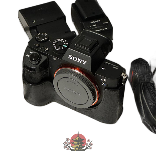 Sony Mirrorless Interchangeable Lips 7S Ii