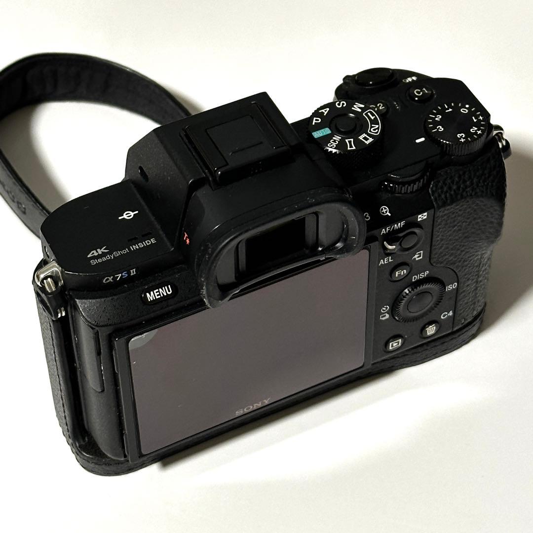 Sony Mirrorless Interchangeable Lips 7S Ii
