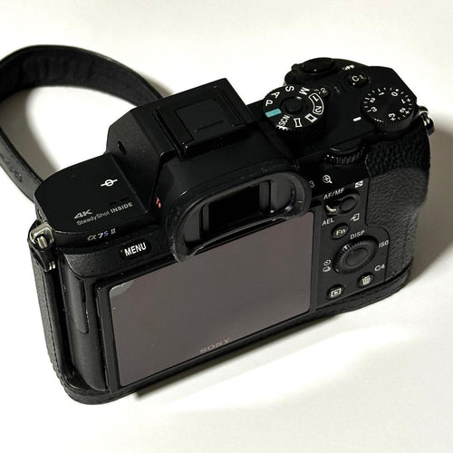 Sony Mirrorless Interchangeable Lips 7S Ii