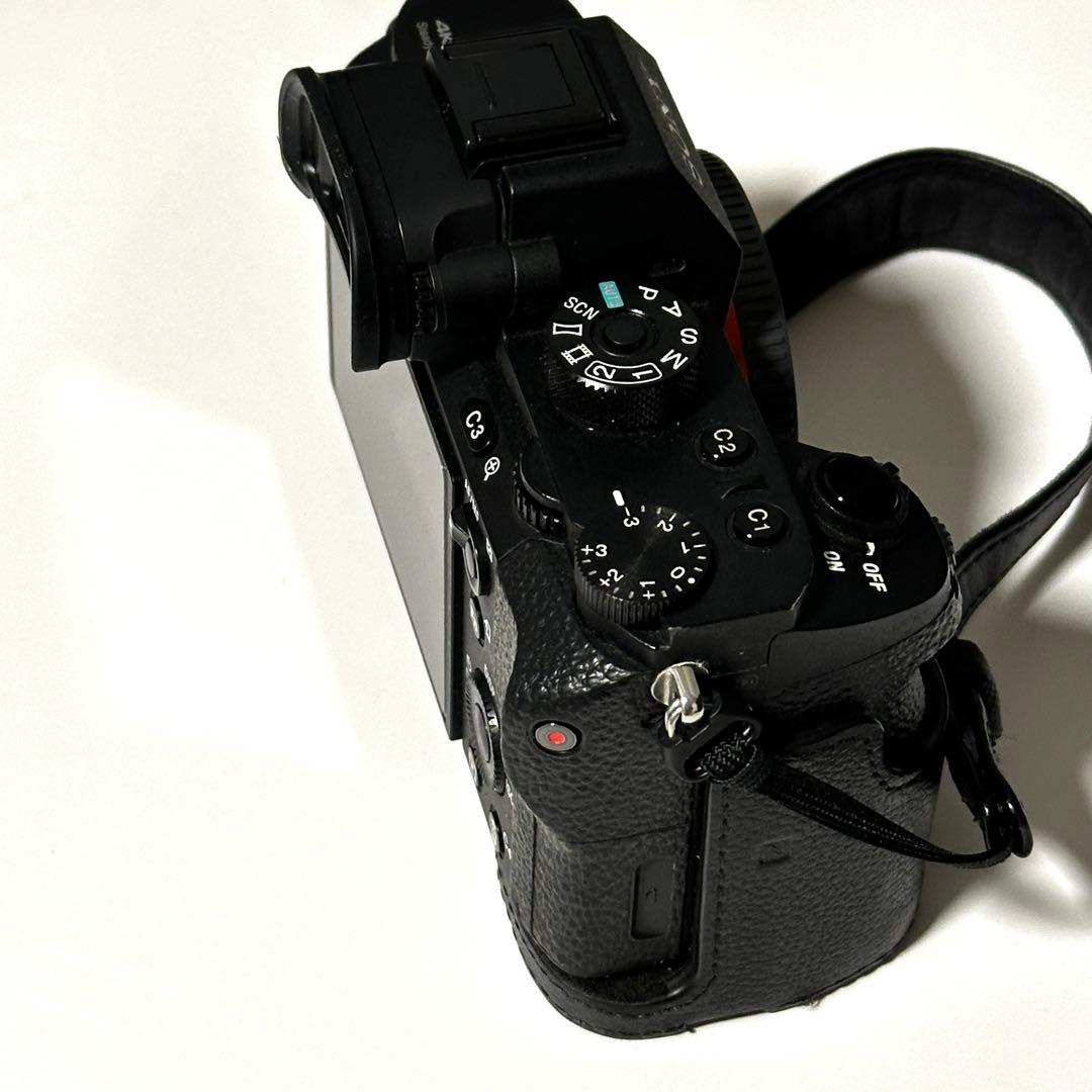 Sony Mirrorless Interchangeable Lips 7S Ii