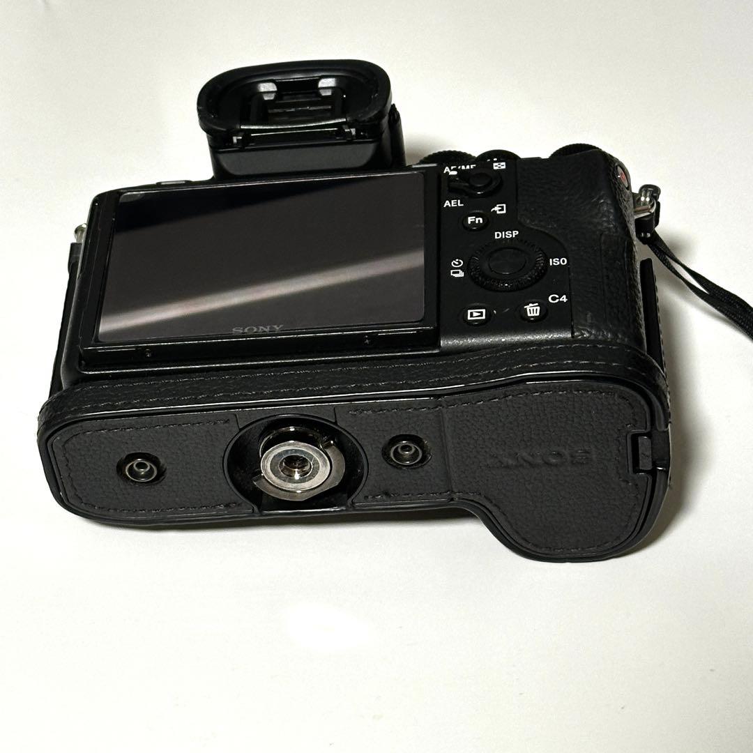 Sony Mirrorless Interchangeable Lips 7S Ii