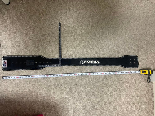 Omega Training Power Belts Titan Support