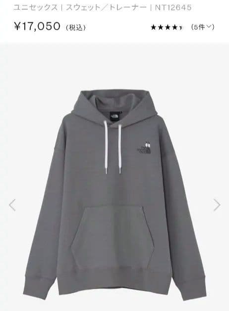 The North Face Hoodies