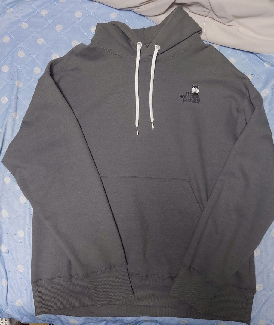 The North Face Hoodies