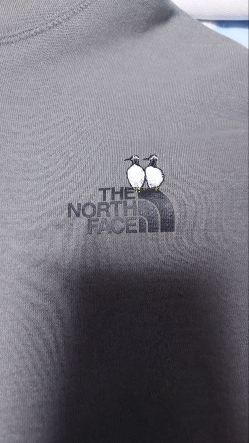 The North Face Hoodies