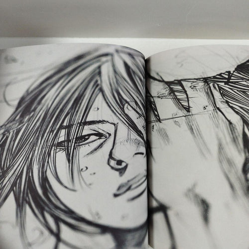 Illustrations Y1282