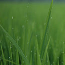 Viltrox Others Af F1.2 Pro X Fujifilm Af271.2Prox